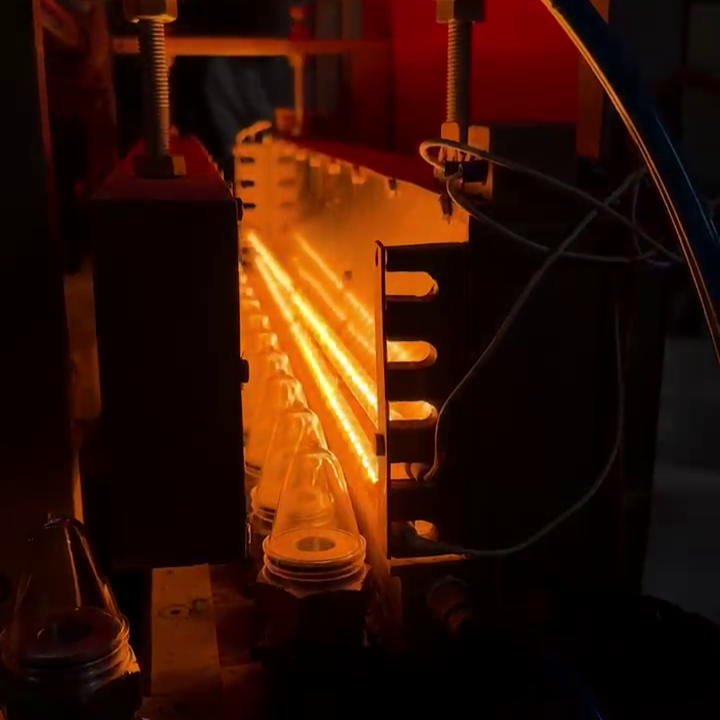 vlcsnap-2025-02-28-19h06m15s273